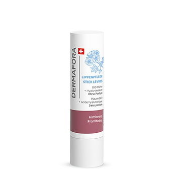 Stick lèvres teinté Dermafora gamme peau déshydratée