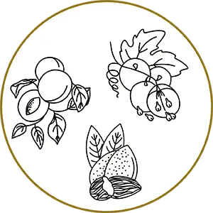 Illustration botanique en noir et blanc avec feuilles, baies et papillon