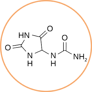 Structure moléculaire de l'allantoïne