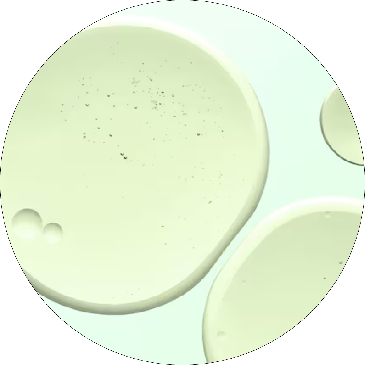 Texture vert pâle représentant l'acide salicylique