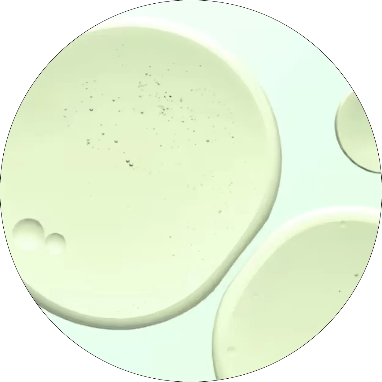 Texture vert pâle représentant l'acide salicylique