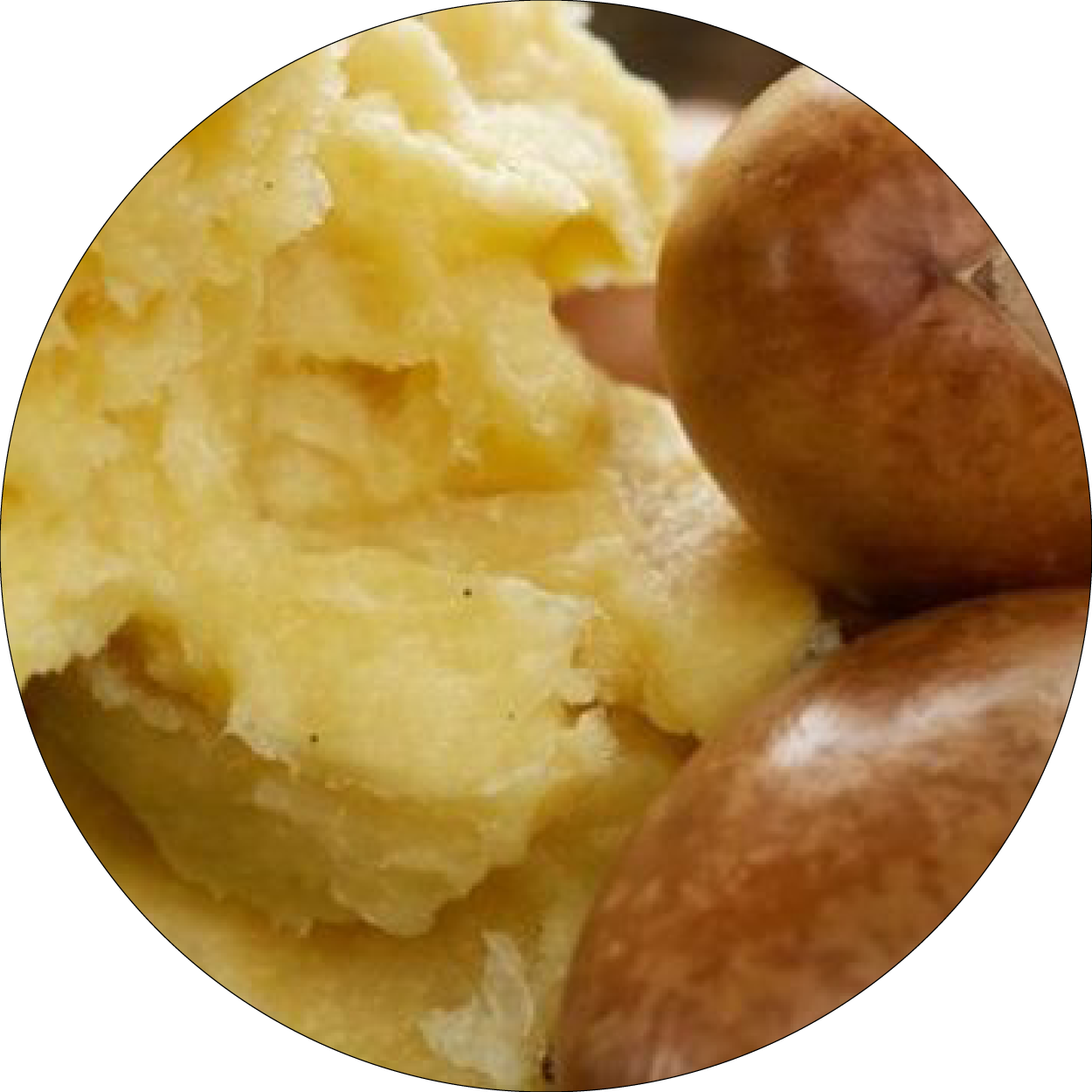 Beurre de karité et noix de karité