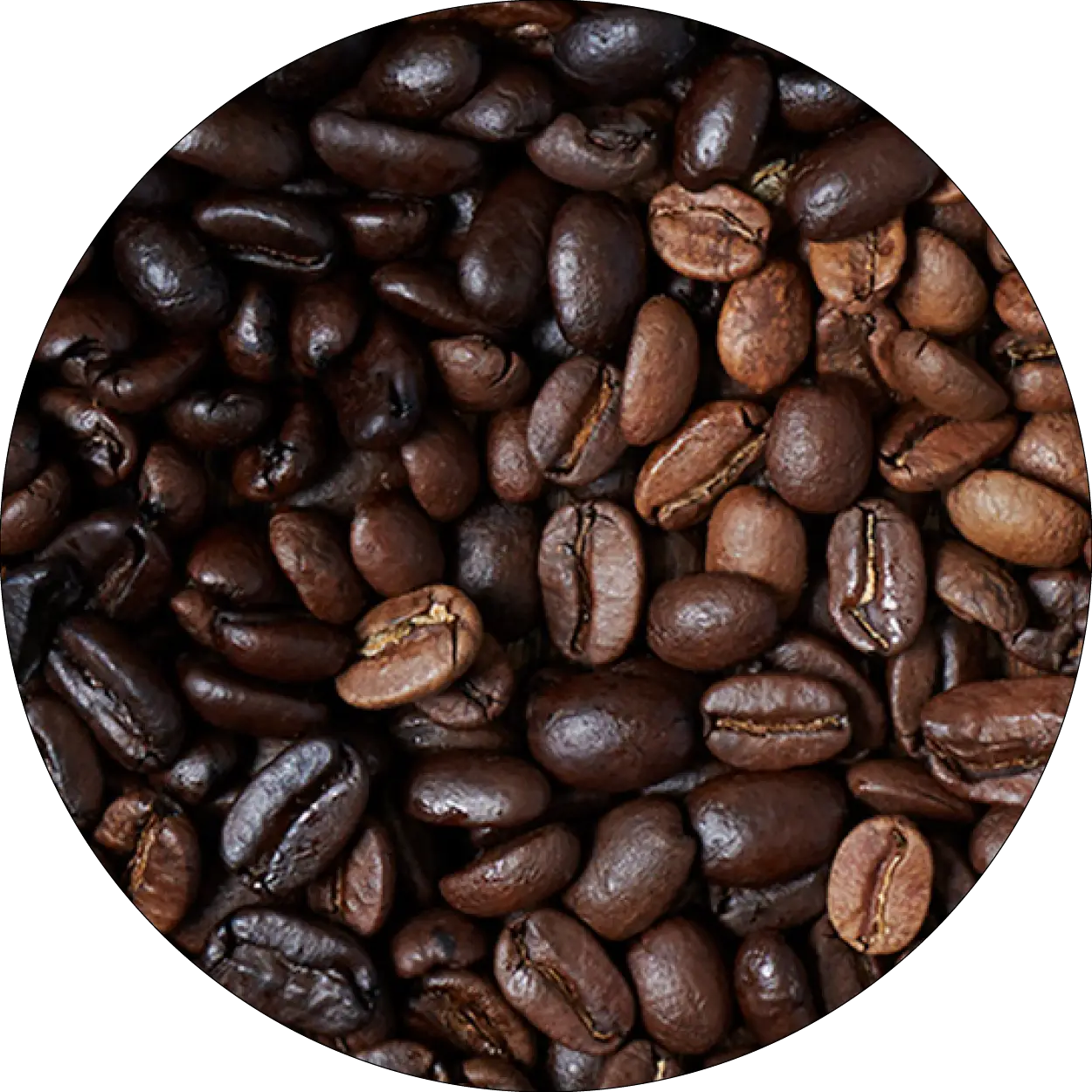 Grains de café représentant la caféine
