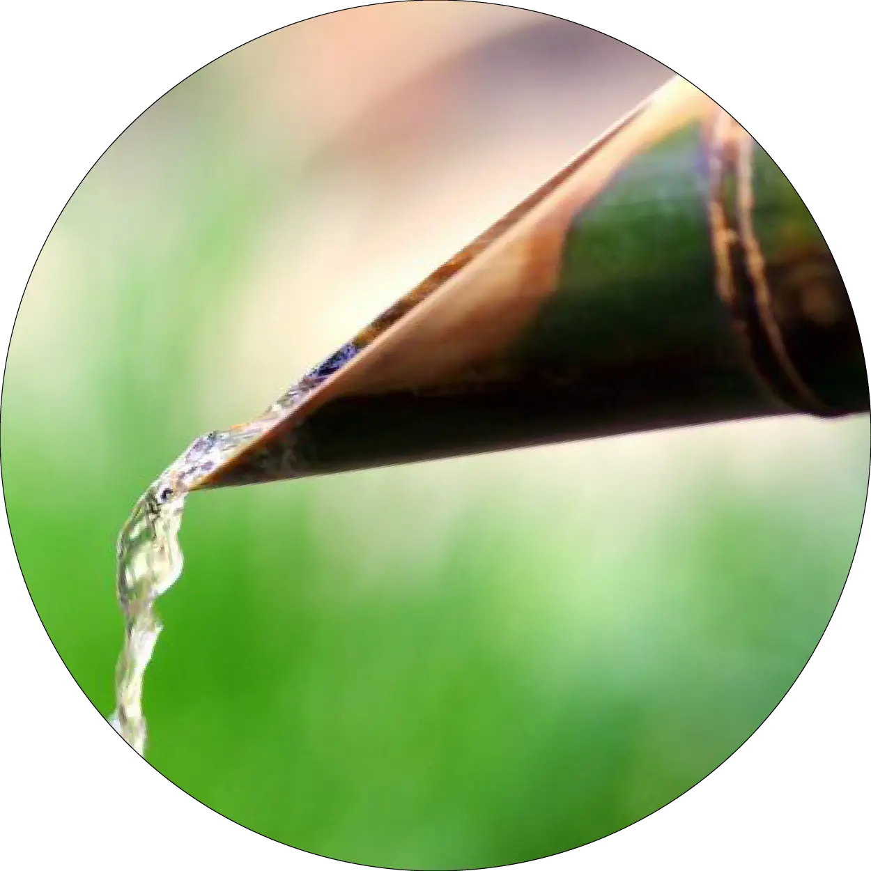 Eau qui s'écoule d'un bambou vert
