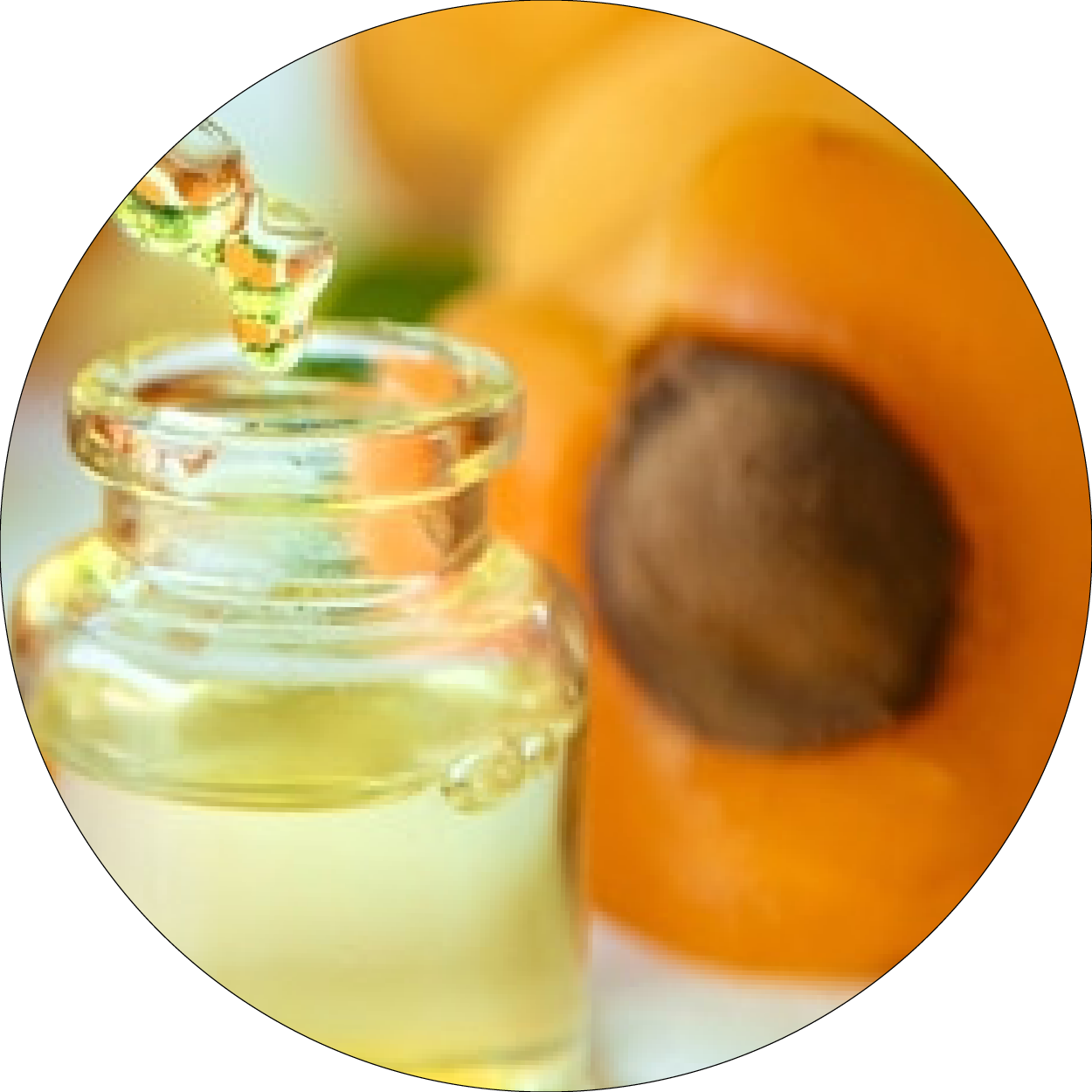 Flacon d'huile avec abricots pour l'huile d'abricot