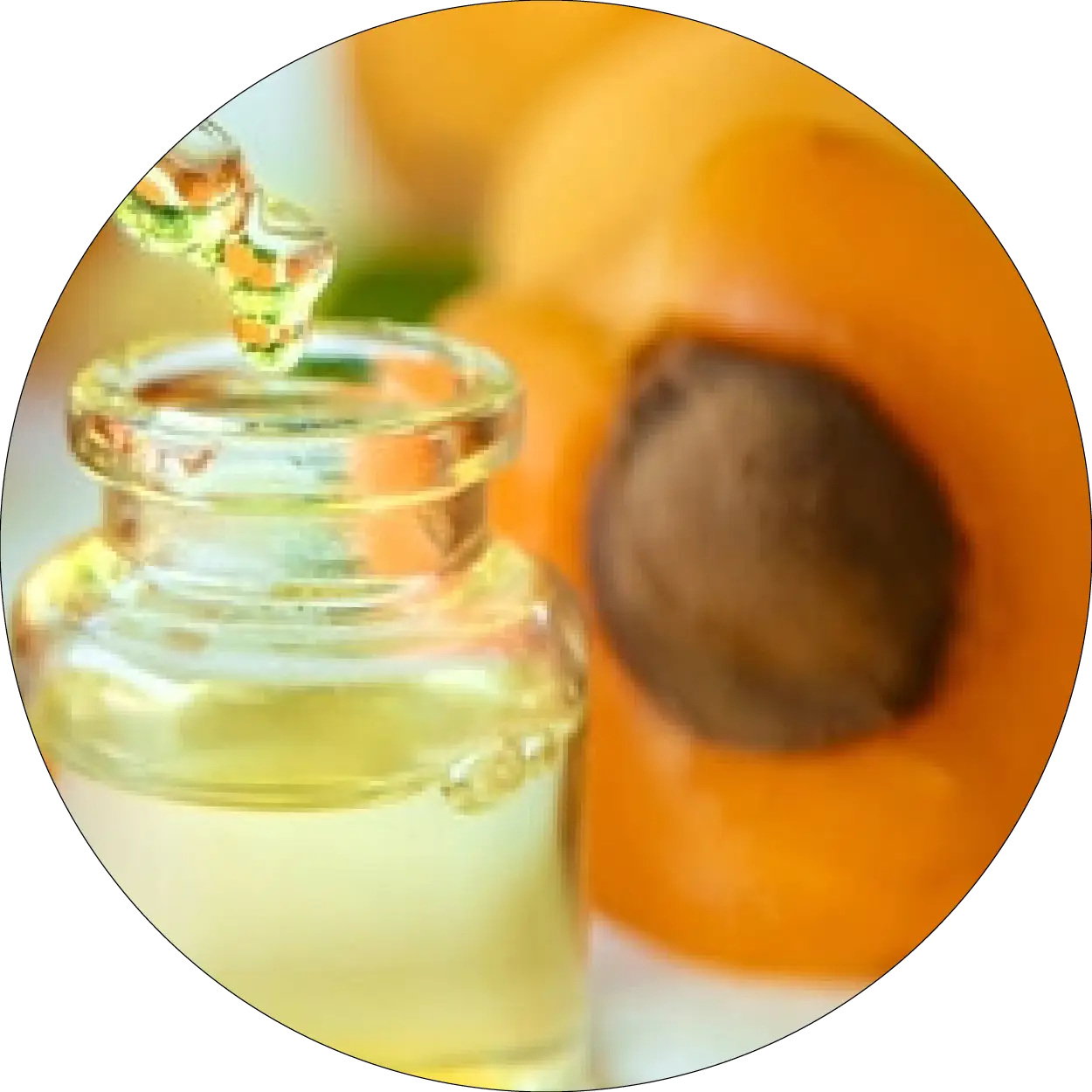 Flacon d'huile avec abricots pour l'huile d'abricot