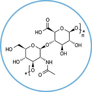 Structure moléculaire de l'acide hyaluronique